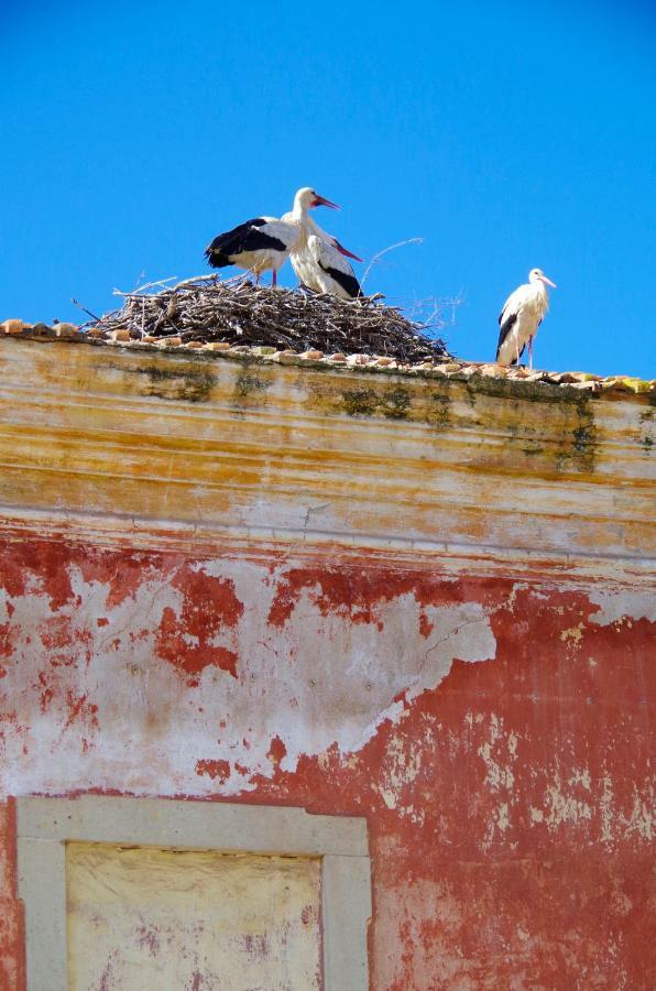 Casa Margarida Azul Villa Silves Eksteriør bilde
